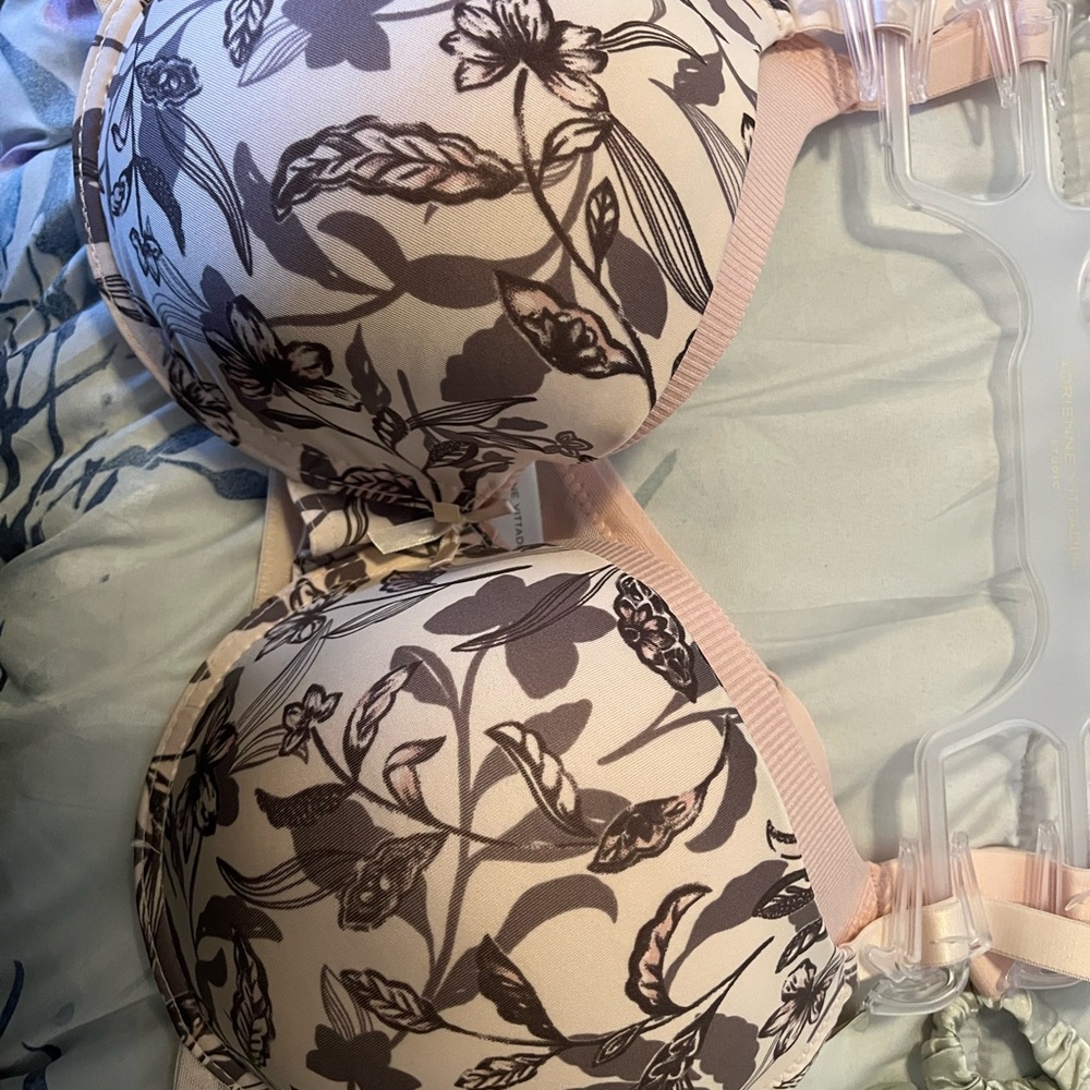 Adrienne Vittadini Cream and brown Bra Intimates and another pink bra